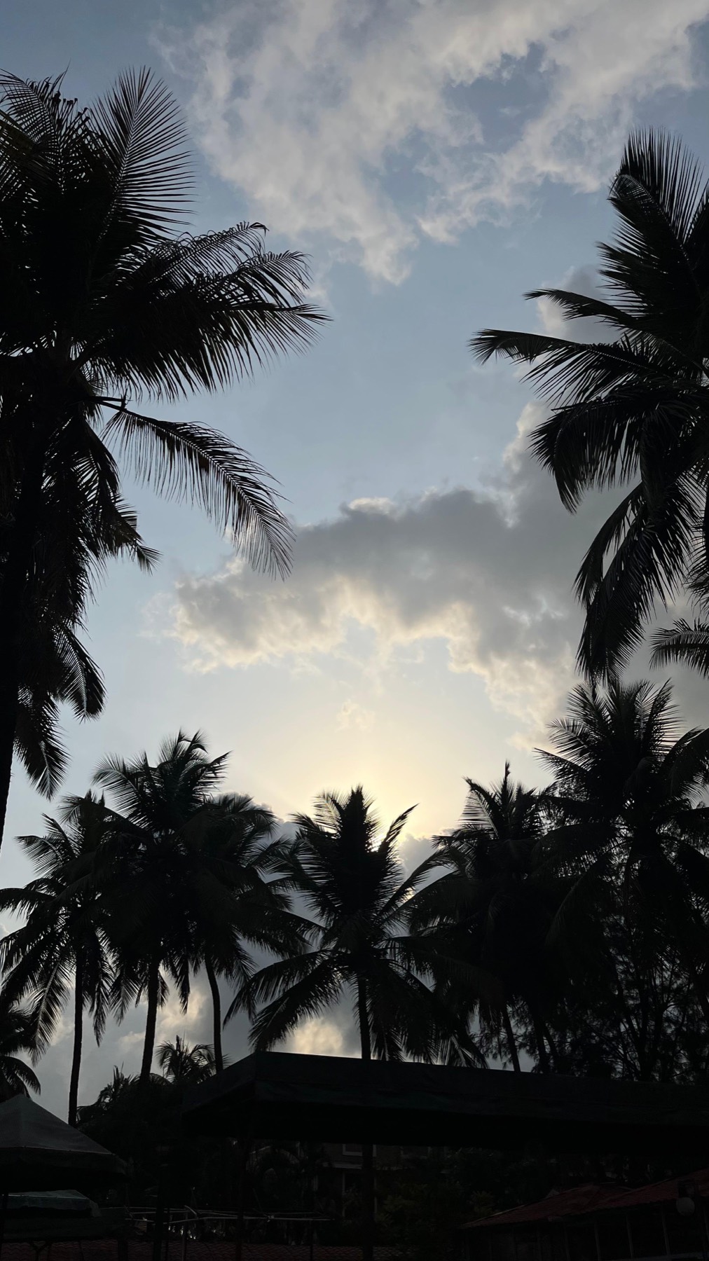 Personal photograph